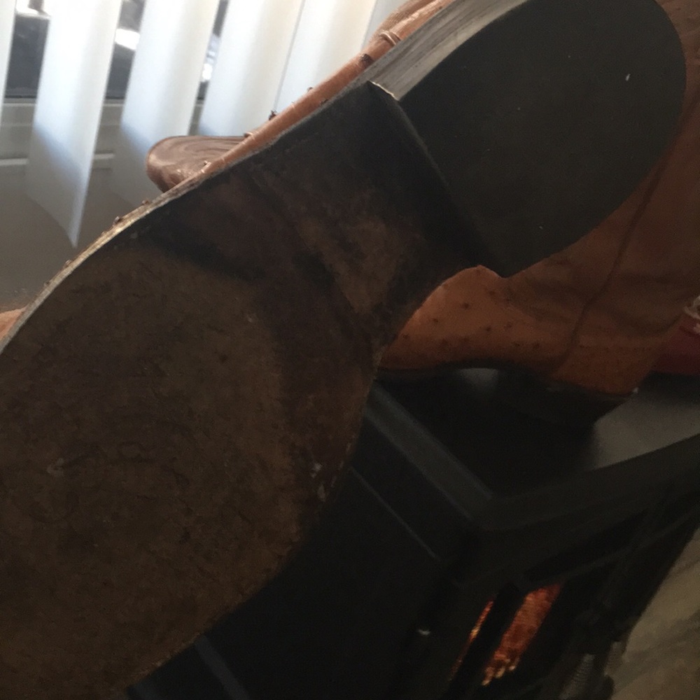 Dan Post, Ostrich boots, shoe trees,covers & case!